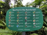 Wir erkunden den Regenwald in der Nähe von Cairns &ndash; &copy; Simone Willner (Eberhardt TRAVEL)