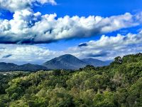 Wir schweben mit der Skyrail über den Regenwald bei Cairns &ndash; &copy; Simone Willner (Eberhardt TRAVEL)