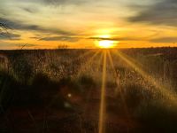 Die Sonne geht auf und taucht den Uluru in rosarotes Licht &ndash; &copy; Simone Willner (Eberhardt TRAVEL)