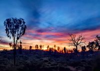 Die Sonne im Outback geht auf &ndash; &copy; Simone Willner (Eberhardt TRAVEL)