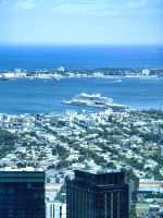 Die MS Noordam liegt im Hafen von Melbourne  &ndash; &copy; Simone Willner (Eberhardt TRAVEL)