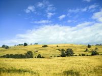 Landschaft in Nordtasmanien bei Burnie &ndash; &copy; Simone Willner (Eberhardt TRAVEL)