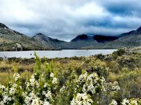 Dove Lake im Cradle Mountain Nationalpark &ndash; &copy; Simone Willner (Eberhardt TRAVEL)