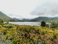 In den Bergen von Tasmanien ist es kalt und neblig &ndash; &copy; Simone Willner (Eberhardt TRAVEL)