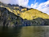 Arider Bergurwald im Milford Sound &ndash; &copy; Simone Willner (Eberhardt TRAVEL)