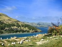 Albatroszentrum Pukekura, Otago &ndash; &copy; Simone Willner (Eberhardt TRAVEL)