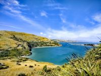 Malerisch schöne Bucht auf Pukekura, Otago Halbinsel &ndash; &copy; Simone Willner (Eberhardt TRAVEL)