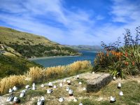 Blick vom Albatroszentrum &ndash; &copy; Simone Willner (Eberhardt TRAVEL)