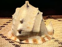 Mit Muscheln hat man sich früher über die Ferne verständigt &ndash; &copy; Simone Willner (Eberhardt TRAVEL)