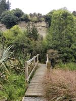 Wir laufen zu den Höhlenzeichnungen der Maori &ndash; &copy; Simone Willner (Eberhardt TRAVEL)