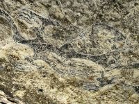 Fabelwesen im Kalkstein &ndash; &copy; Simone Willner (Eberhardt TRAVEL)