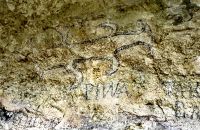 Felszeichnungen der Maori &ndash; &copy; Simone Willner (Eberhardt TRAVEL)