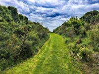 Wir erkunden die neuseeländische Vegetation bei Timaru &ndash; &copy; Simone Willner (Eberhardt TRAVEL)