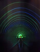 Auffahrt mit dem Cable Car in Wellington  &ndash; &copy; Simone Willner (Eberhardt TRAVEL)