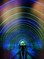 Tunnel des Cable Car in Wellington  &ndash; &copy; Simone Willner (Eberhardt TRAVEL)