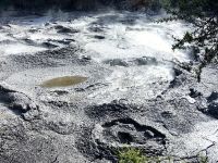 In Te Puia, Rotorua, blubbert es im Geothermalgebiet &ndash; &copy; Simone Willner (Eberhardt TRAVEL)