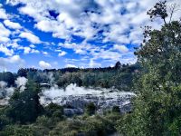 Über dem Geothermalfeld steigen die schwefelhaltigen Dämpfe auf &ndash; &copy; Simone Willner (Eberhardt TRAVEL)