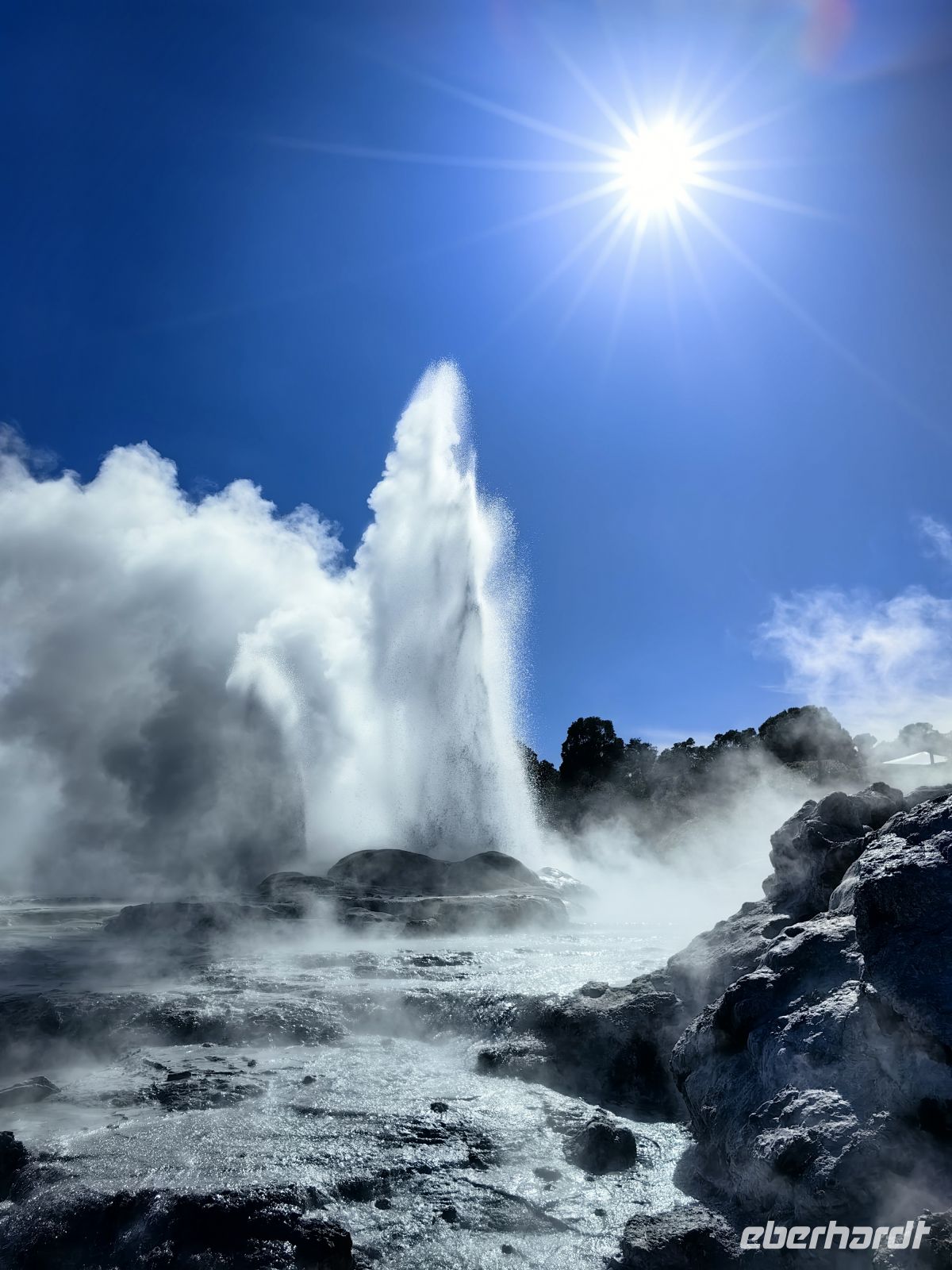 Pohutu Geysier bricht aus, Te Puia &ndash; &copy;  (Eberhardt TRAVEL)