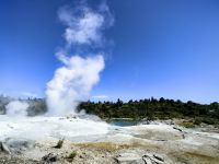 Geothermalfeld in Te Puia bei Rotorua &ndash; &copy; Simone Willner (Eberhardt TRAVEL)