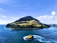 Hausberg von Tauranga &ndash; &copy; Simone Willner (Eberhardt TRAVEL)