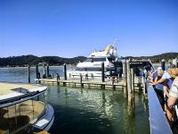 Wir besteigen in Waitangi einen Katamaran &ndash; &copy; Simone Willner (Eberhardt TRAVEL)