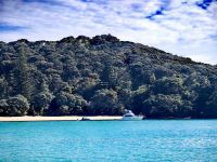 Einige der Eilande in der Bay of Islands sind in Privatbesitz - wir sind neidisch &ndash; &copy; Simone Willner (Eberhardt TRAVEL)