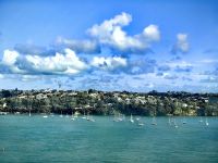 Auckland wird auch die Stadt der Segler genannt &ndash; &copy; Simone Willner (Eberhardt TRAVEL)