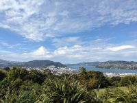343. Aussichtspunkt über Dunedin, Neuseeland