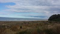 Am Strand von Tauranga