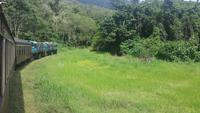 Fahrt nach Kuranda
