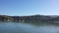 Hafen von Akaora Neuseeland
