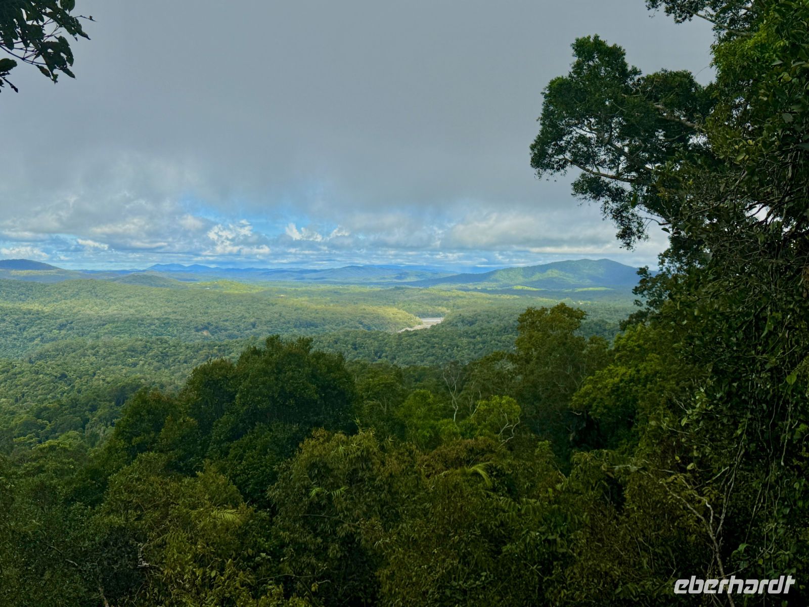 Regenwald Kuranda