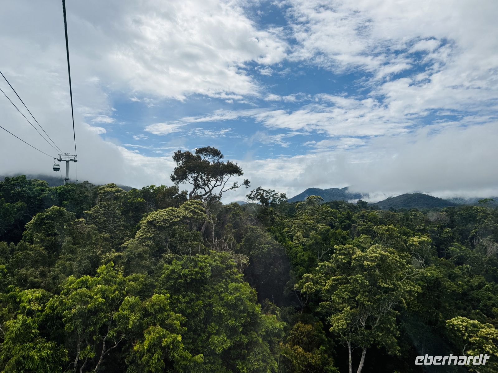 Regenwald Kuranda