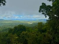 Regenwald Kuranda