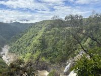 Regenwald Kuranda