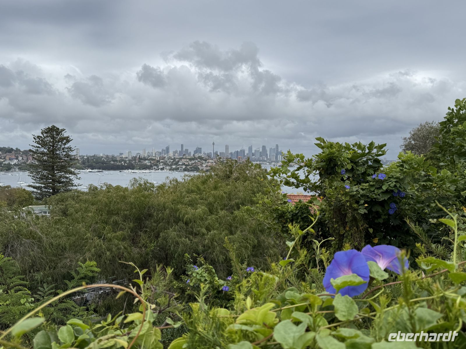 Skyline Sydney