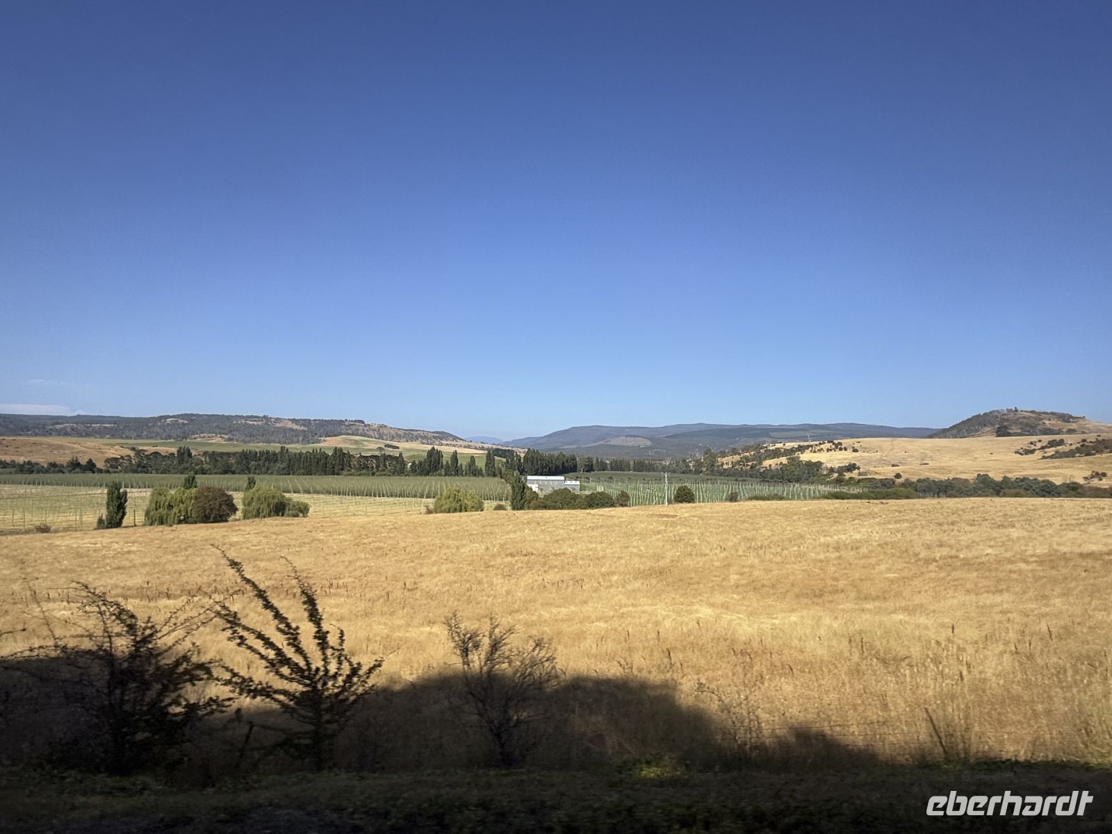Tasmanien