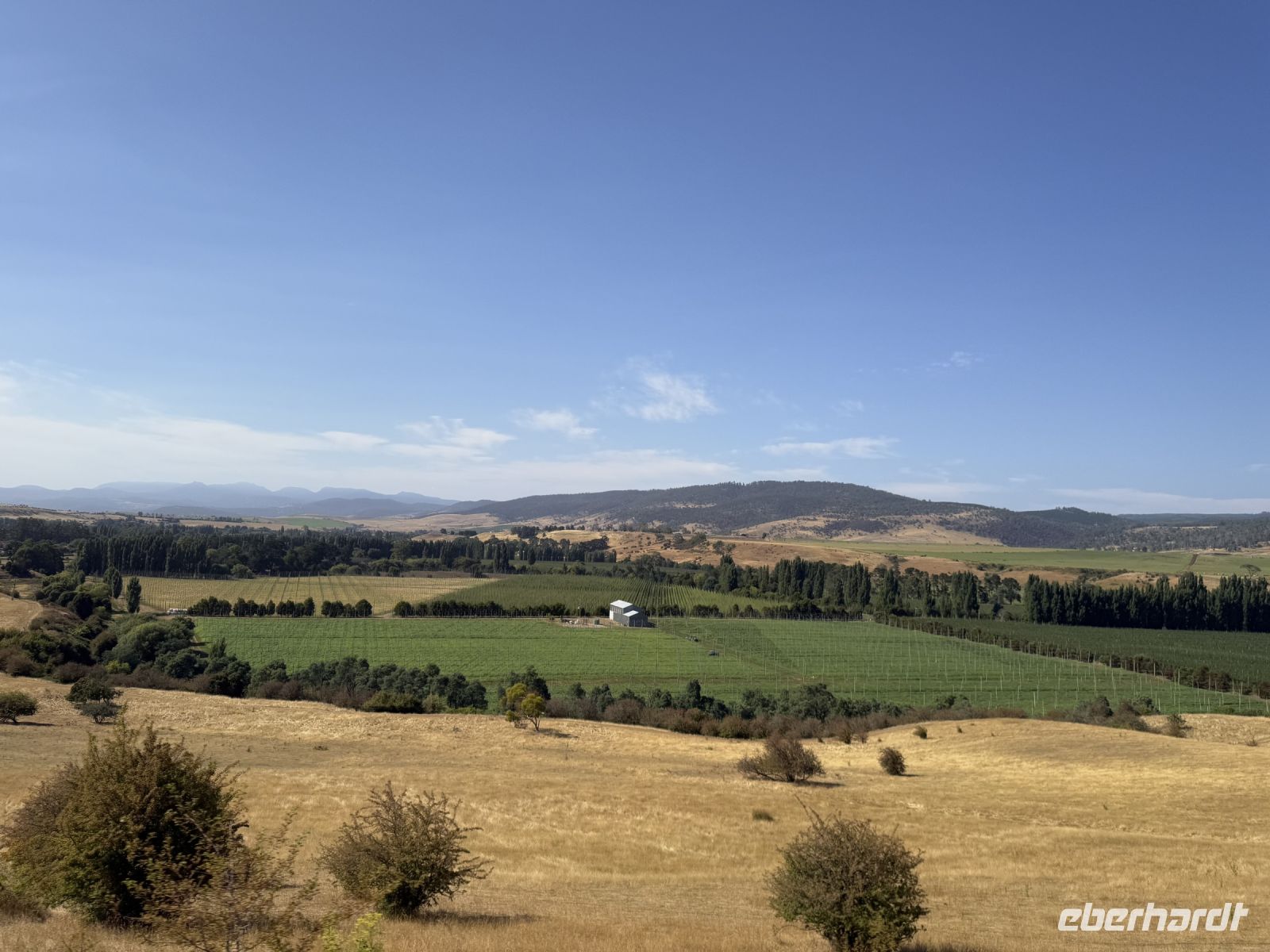 Tasmanien