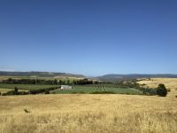 Tasmanien