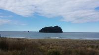 Tauranga