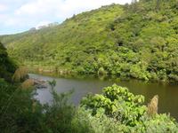 Zealandia
