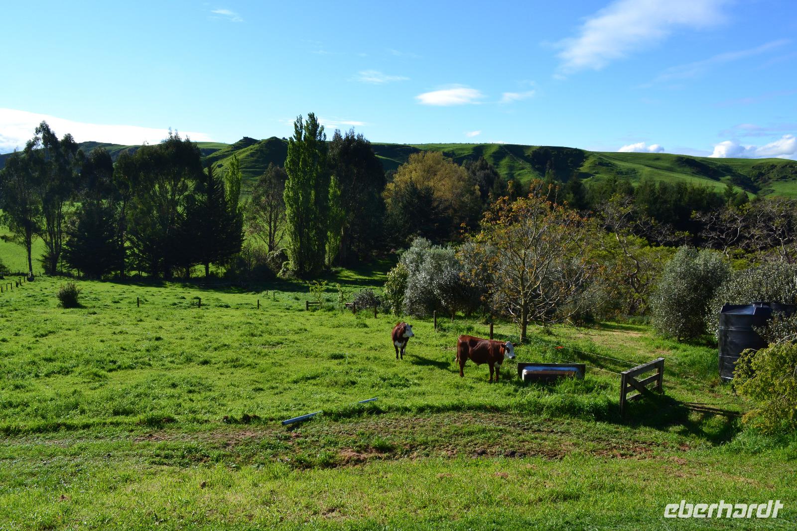 Übernachtung bei einer Gastfamilie auf einer Farm