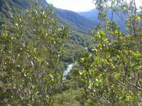 ...Flusslandschaft