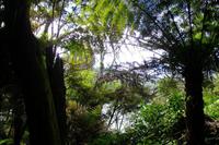 ...auf der Maori-Wanderung...