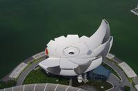 .Singapure - Blick auf die Lotusblüte