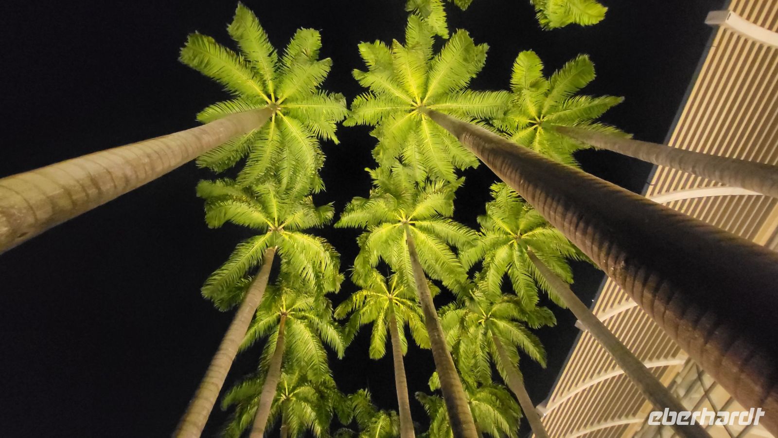 002 - Singapur bei Nacht