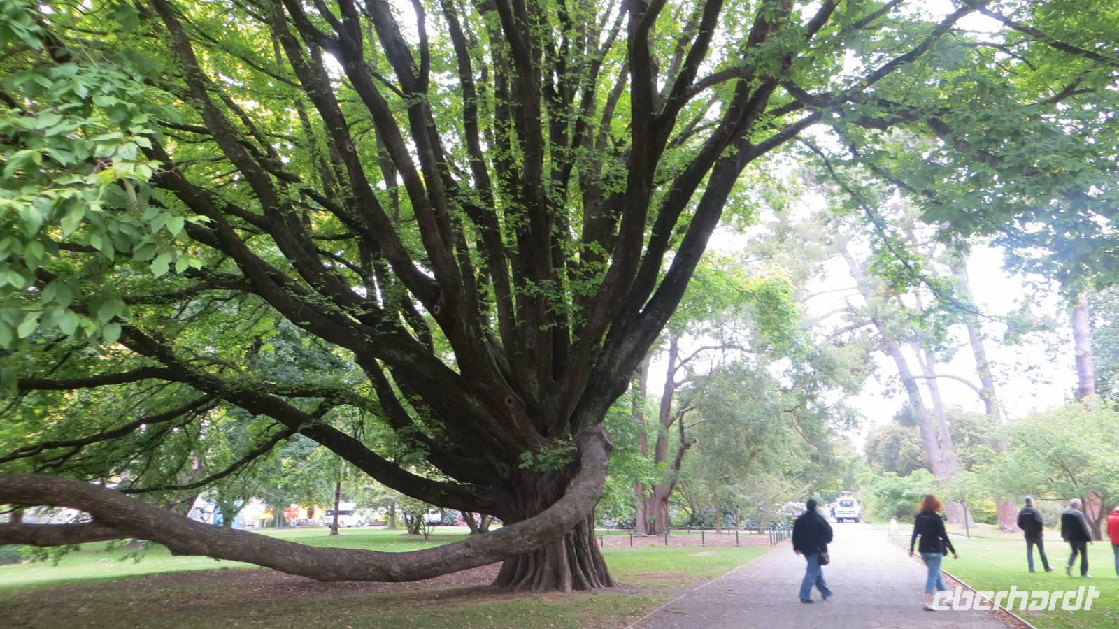 0154 Christchurch - Botanischer Garten -