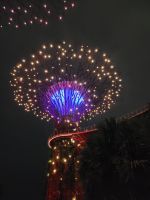 02-006 Singapore by Night