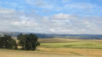 0252 Fahrt nach Dunedin durch die Provinz Otago
