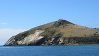 0285 Otago-Halbinsel - Bootsfahrt